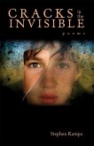 Cracks in the Invisible (eBook, ePUB)