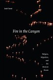 Fire in the Canyon (eBook, ePUB)