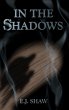 In the Shadows (eBook, ePUB) - Bild 1