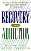 Recovery from Addiction (eBook, ePUB)