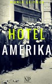 Hotel Amerika (eBook, PDF)