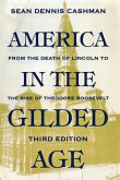 America in the Gilded Age (eBook, ePUB)