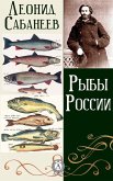 The Fish of Russia (eBook, ePUB)