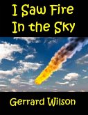 I Saw Fire In the Sky (eBook, ePUB) I Saw Fire In the Sky (eBook, ePUB)