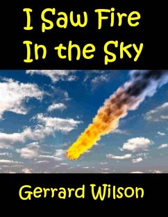 Cover I Saw Fire In the Sky (eBook, ePUB)