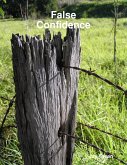 False Confidence (eBook, ePUB)