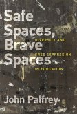 Safe Spaces, Brave Spaces (eBook, ePUB)