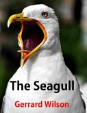 The Seagull (eBook, ePUB)