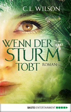 Wenn der Sturm tobt (eBook, ePUB) - Wilson, C. L.