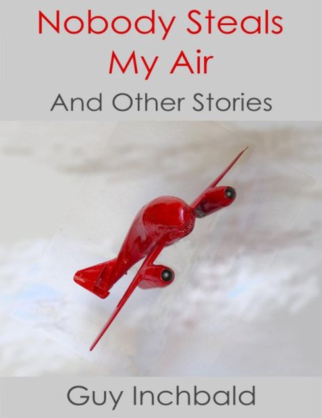 Nobody Steals My Air (eBook, ePUB) Nobody Steals My Air (eBook, ePUB)