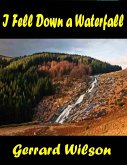 I Fell Down a Waterfall (eBook, ePUB) I Fell Down a Waterfall (eBook, ePUB)