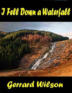 Cover I Fell Down a Waterfall (eBook, ePUB)