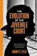 The Evolution of the Juvenile Court... - Bild 1