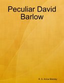 Peculiar David Barlow (eBook, ePUB)