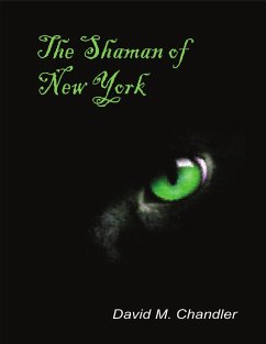The Shaman of New York (eBook, ePUB) - Chandler, David