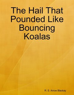 The Hail That Pounded Like Bouncing Koalas (eBook, ePUB) - Blackay, R. S. Arrow