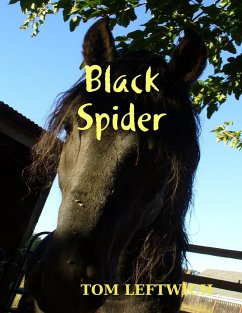 Cover Black Spider (eBook, ePUB)