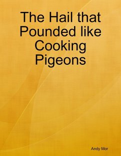 The Hail that Pounded like Cooking Pigeons (eBook, ePUB) - Mor, Andy