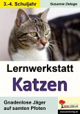 Lernwerkstatt Katzen (eBook, PDF)