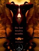 The Last Twelve Months (eBook, ePUB)