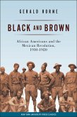 Black and Brown (eBook, ePUB)