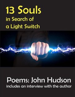 Cover 13 Souls In Search of a Light Switch (eBook, ePUB)
