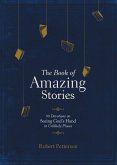 The Book of Amazing Stories (eBook, ePUB)