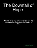 The Downfall of Hope (eBook, ePUB)