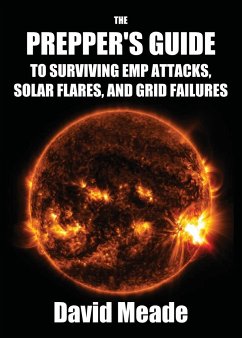 The Prepper's Guide to Surviving EMP Attacks, Solar Flares and Grid Failures - David, Meade