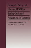 Economic Policy and Household Welfare During Crisis and Adjustment in Tanzania (eBook, PDF)