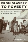 From Slavery to Poverty (eBook, ePUB)