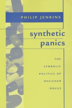 Cover Synthetic Panics (eBook, PDF)