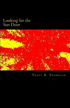 Looking for the Sun Door - Franklin, Tracy R.