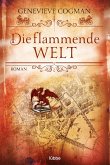 Die flammende Welt / Die unsichtbare Bibliothek Bd.3