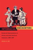 Interracial Encounters (eBook, ePUB)