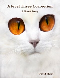 Cover A Level Three Correction: A Short Story (eBook, ePUB)