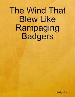 The Wind That Blew Like Rampaging Badgers (eBook, ePUB) - Mor, Andy