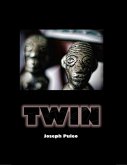 Twin (eBook, ePUB)
