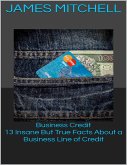 Business Credit: 13 Insane But True Facts About a Business Line of Credit (eBook, ePUB)