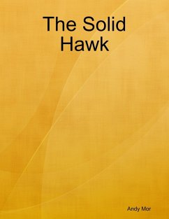 The Solid Hawk (eBook, ePUB) - Mor, Andy