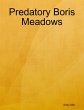 Predatory Boris Meadows (eBook, ePUB) - Bild 1