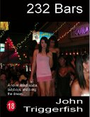 232 Bars: A Novel About Scuba, Ladyboys, and Living the Dream (eBook, ePUB)