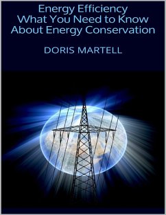 Cover Energy Efficiency: What You Need to Know About Energy Conservation (eBook, ePUB)