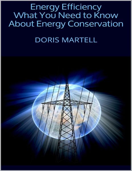 Energy Efficiency: What You Need to Know About Energy Conservation (eBook, ePUB)