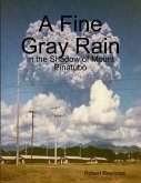 A Fine Gray Rain: In the Shadow of Mount Pinatubo (eBook, ePUB)
