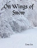 On Wings of Snow (eBook, ePUB)