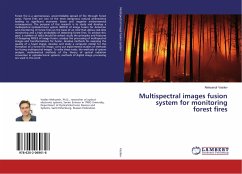 Multispectral images fusion system for monitoring forest fires