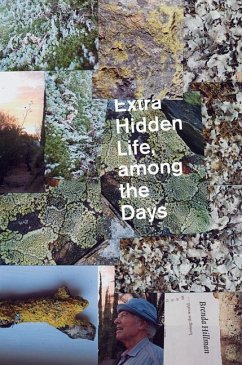 Extra Hidden Life, Among the Days - Hillman, Brenda