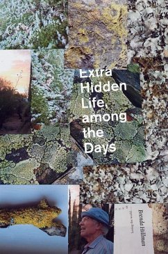 Cover Extra Hidden Life, Among the Days