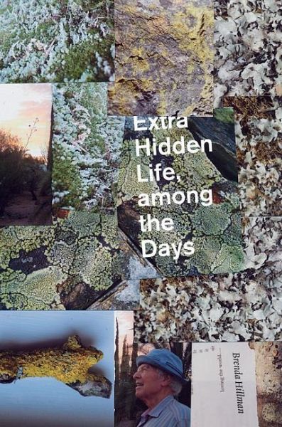 Extra Hidden Life, Among the Days Extra Hidden Life, Among the Days
